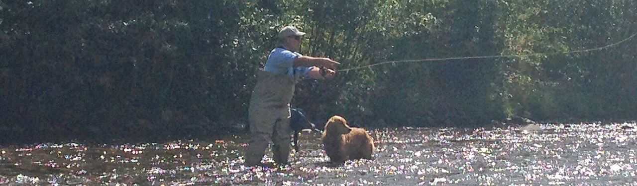Flyfishing Banner Image