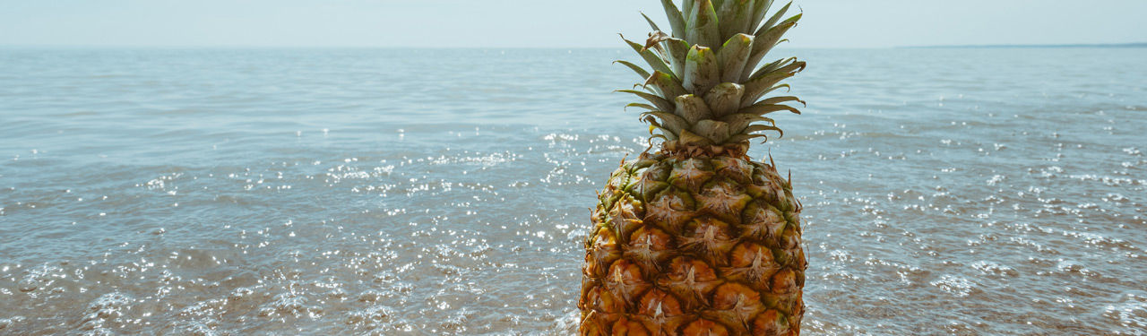 Pineapple Banner Image