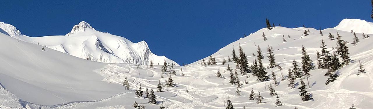 Snow Banner Image