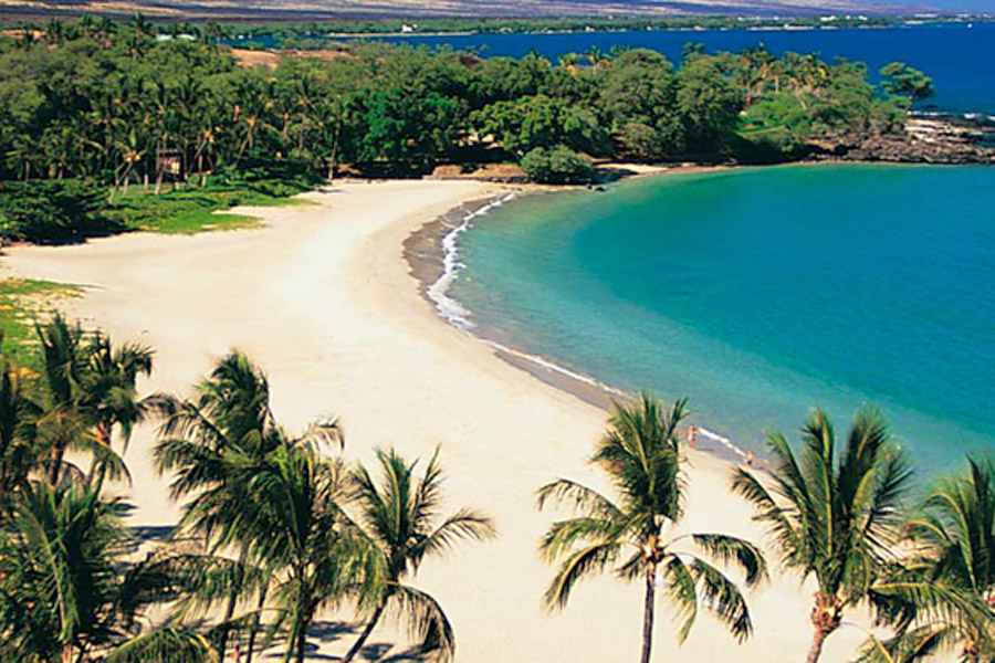 Beach Image